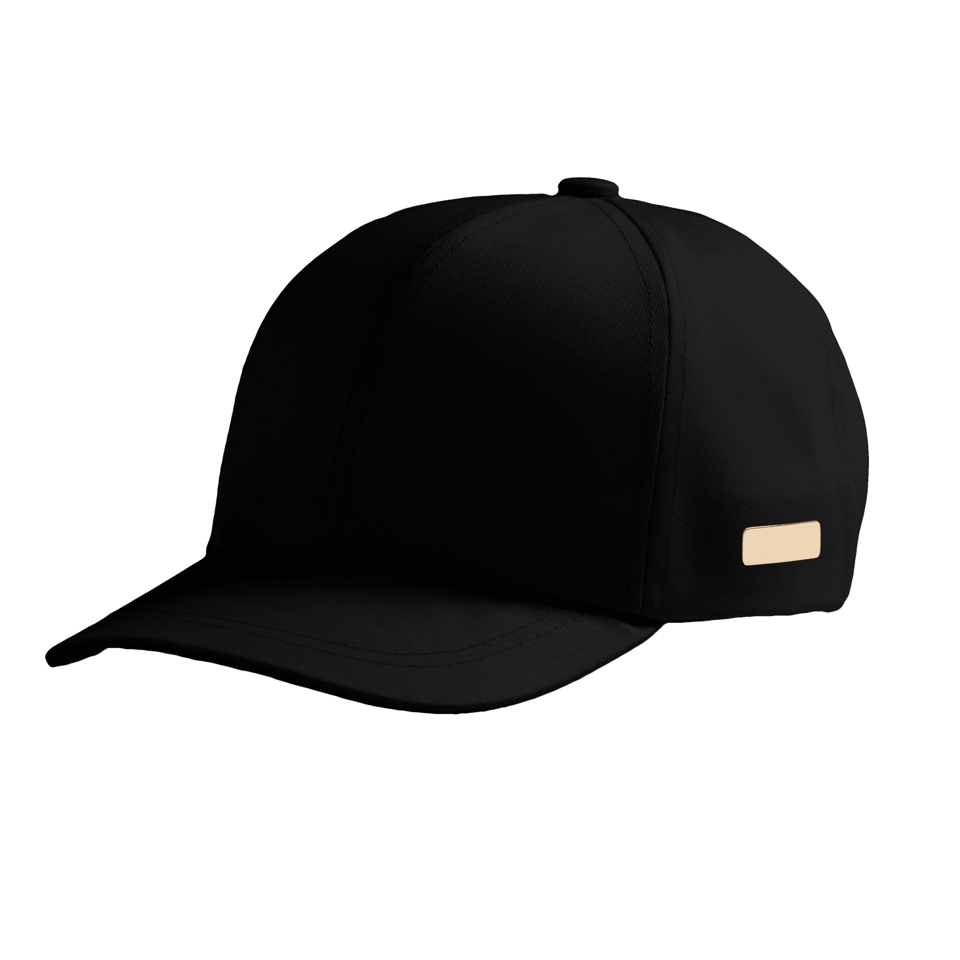 Slim Ingot Cap product image